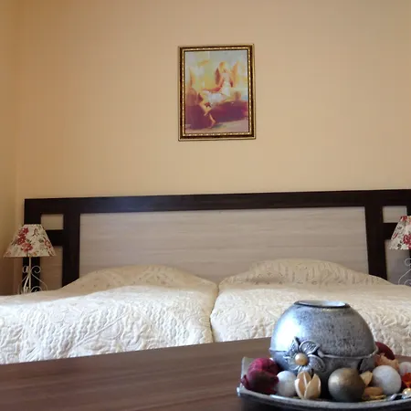 Pensionat Gamma Pavel Banja