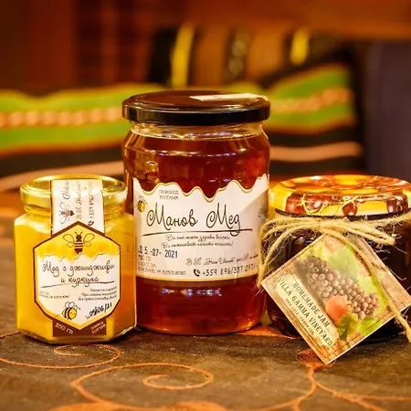 Pensionat Gamma Pavel Banja